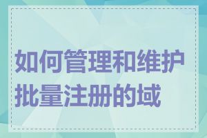 如何管理和维护批量注册的域名