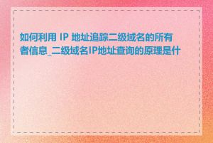 如何利用 IP 地址追踪二级域名的所有者信息_二级域名IP地址查询的原理是什么