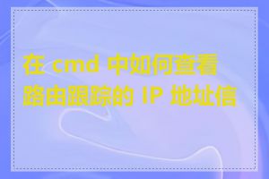 在 cmd 中如何查看路由跟踪的 IP 地址信息