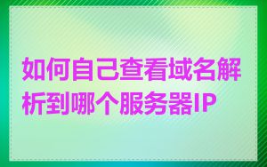 如何自己查看域名解析到哪个服务器IP