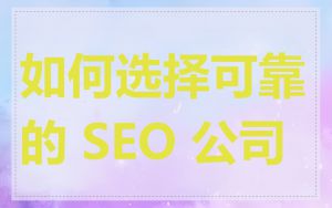 如何选择可靠的 SEO 公司