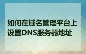 如何在域名管理平台上设置DNS服务器地址
