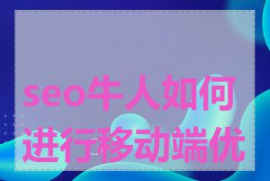 seo牛人如何进行移动端优化