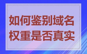 如何鉴别域名权重是否真实