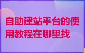 自助建站平台的使用教程在哪里找