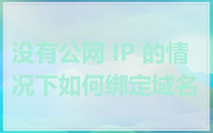 没有公网 IP 的情况下如何绑定域名