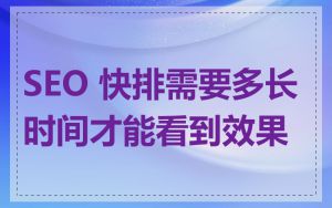 SEO 快排需要多长时间才能看到效果