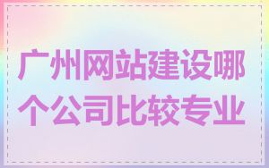 广州网站建设哪个公司比较专业