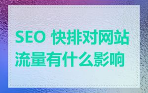 SEO 快排对网站流量有什么影响