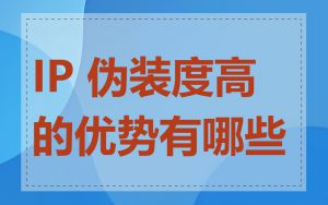 IP 伪装度高的优势有哪些