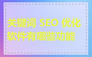 关键词 SEO 优化软件有哪些功能