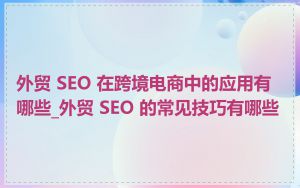 外贸 SEO 在跨境电商中的应用有哪些_外贸 SEO 的常见技巧有哪些