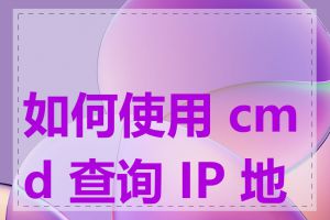 如何使用 cmd 查询 IP 地址