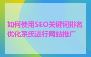 如何使用SEO关键词排名优化系统进行网站推广