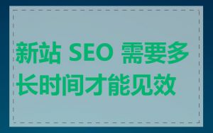 新站 SEO 需要多长时间才能见效