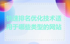 快速排名优化技术适用于哪些类型的网站