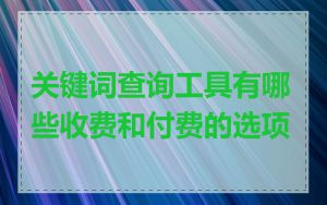 关键词查询工具有哪些收费和付费的选项