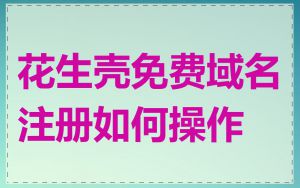 花生壳免费域名注册如何操作