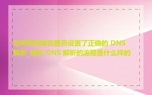 如何检查域名是否设置了正确的 DNS 解析_域名 DNS 解析的流程是什么样的