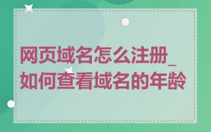 网页域名怎么注册_如何查看域名的年龄