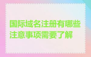 国际域名注册有哪些注意事项需要了解