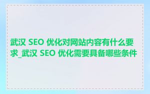 武汉 SEO 优化对网站内容有什么要求_武汉 SEO 优化需要具备哪些条件
