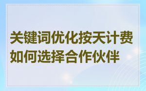 关键词优化按天计费如何选择合作伙伴