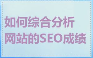 如何综合分析网站的SEO成绩