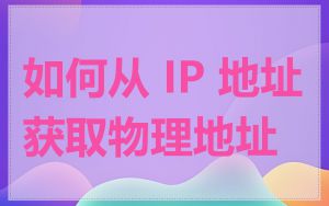 如何从 IP 地址获取物理地址