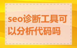 seo诊断工具可以分析代码吗