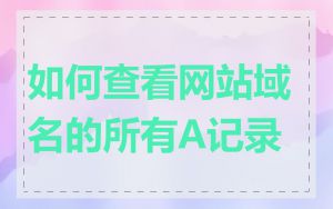 如何查看网站域名的所有A记录