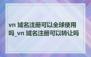 vn 域名注册可以全球使用吗_vn 域名注册可以转让吗