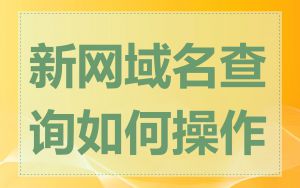 新网域名查询如何操作