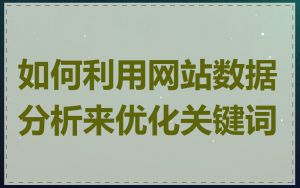如何利用网站数据分析来优化关键词
