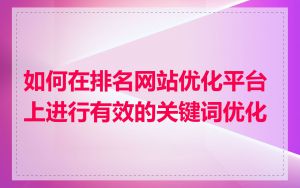 如何在排名网站优化平台上进行有效的关键词优化