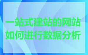 一站式建站的网站如何进行数据分析