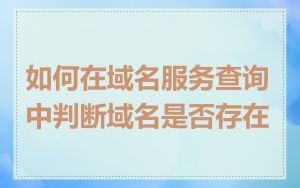 如何在域名服务查询中判断域名是否存在