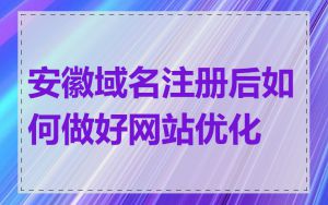 安徽域名注册后如何做好网站优化