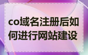 co域名注册后如何进行网站建设