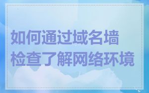 如何通过域名墙检查了解网络环境
