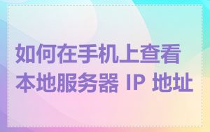 如何在手机上查看本地服务器 IP 地址