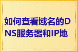 如何查看域名的DNS服务器和IP地址