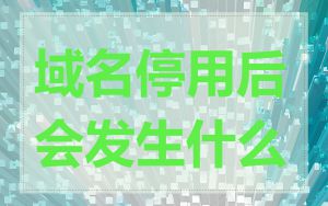 域名停用后会发生什么