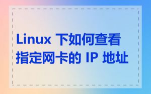 Linux 下如何查看指定网卡的 IP 地址