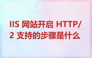 IIS 网站开启 HTTP/2 支持的步骤是什么