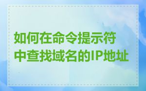 如何在命令提示符中查找域名的IP地址