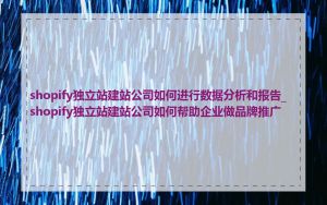 shopify独立站建站公司如何进行数据分析和报告_shopify独立站建站公司如何帮助企业做品牌推广