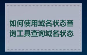 如何使用域名状态查询工具查询域名状态