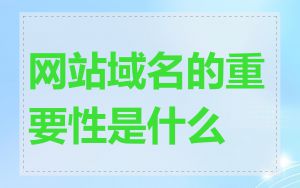 网站域名的重要性是什么