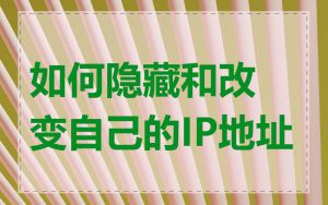 如何隐藏和改变自己的IP地址